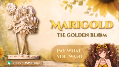Marigold - The Golden Bloom