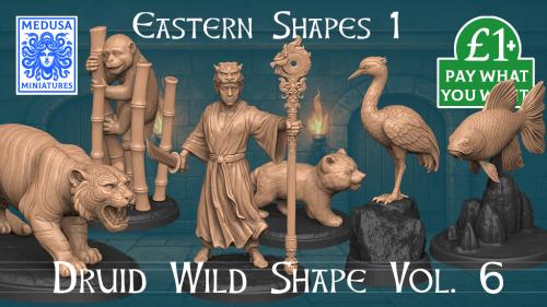 Druid Wild Shape Vol. 6 3D Printing STL Eastern Minis