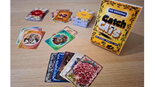 Catch Cats - A Game of Skill and Luck