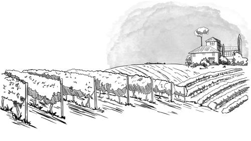 Winemaker s Way - A Solo Winery Tale