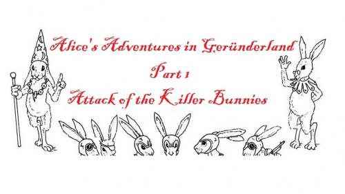 Alice s Adventures in Geründerland