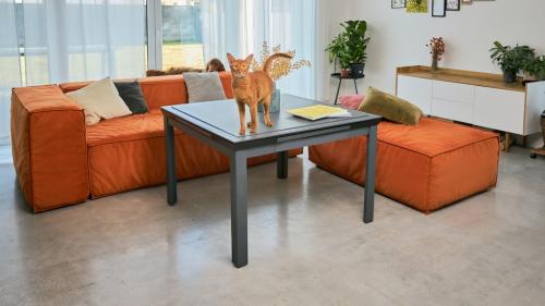 LeTable One Touch Extendable Board Game Table