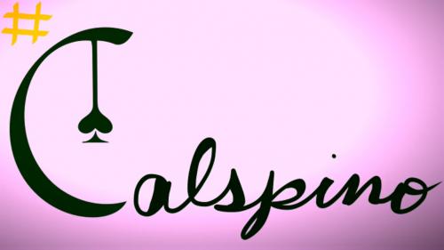 Calspino: When Math Becomes a Game