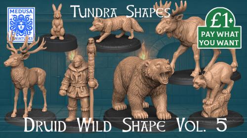 Druid Wild Shape Vol. 5 3D Printing STL Tundra Minis