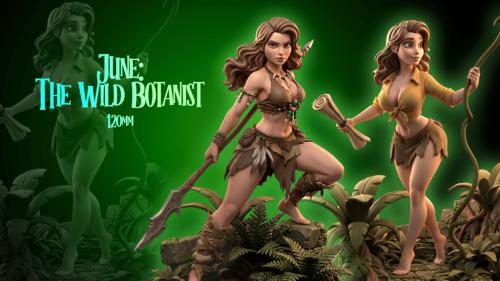June, The Wild Botanist – 3D Printable STL