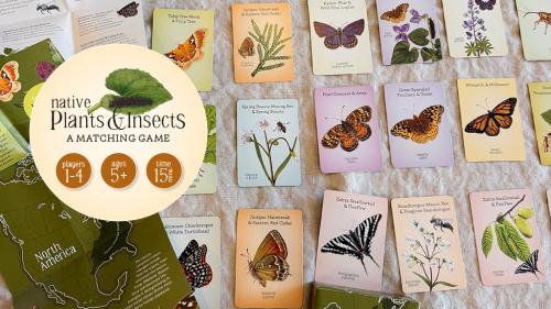 Native Plants & Insects / A Matching Game