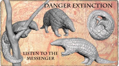 DANGER EXTINCTION