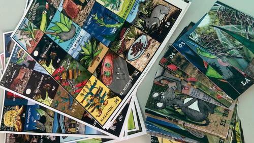 Nuestra loterÃ­a del maguey