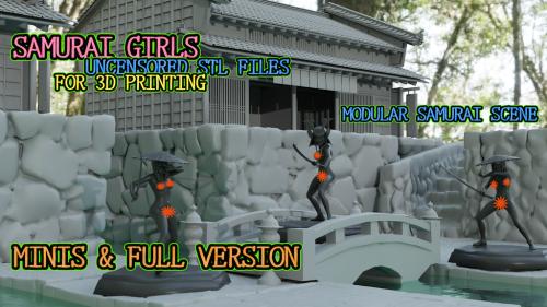 SAMURAI GIRLS - UNCENSORED STL FILES - MINIS & FULL VER