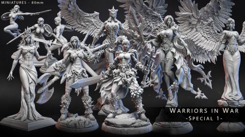 Warriors In War - Special 1 - 3D Print STL
