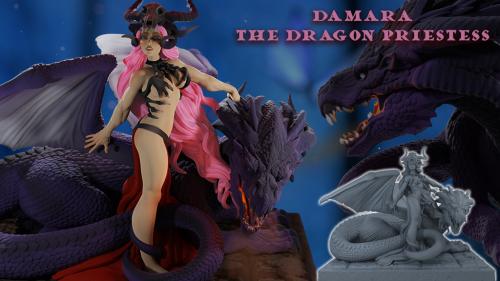 Damara the Dragon Priestess | Mini & Figurine STL files