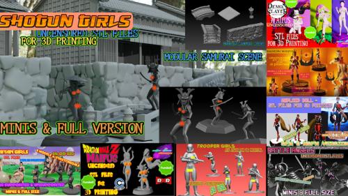 SHOGUN GIRLS - UNCENSORED STL FILES + 2022 COLLECTION