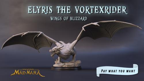 Elyris the Vortexrider - 3D Printable STL Miniature