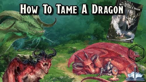 How To Tame A Dragon: A DnD Compendium for 5e & 5.5e