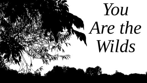 You Are the Wilds