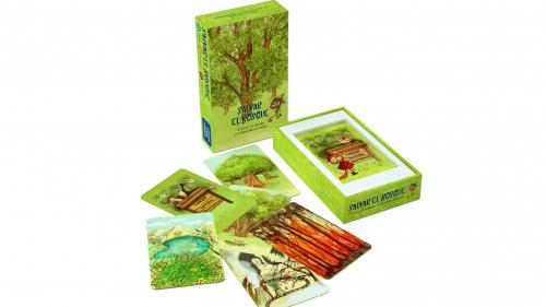 SALVAR EL BOSQUE