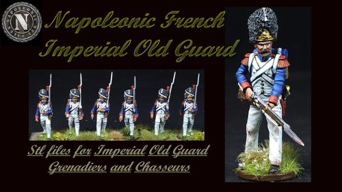 Napoleonic French Imperial Old Guard Part 1