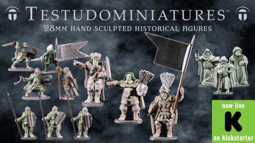 Testudo Miniatures - The Northern Warriors