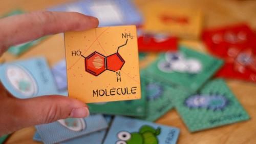 The Science Lab Memory Game: A STEM Initiative Round 2