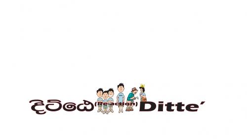 Ditte  Experiential Leadership Board Game