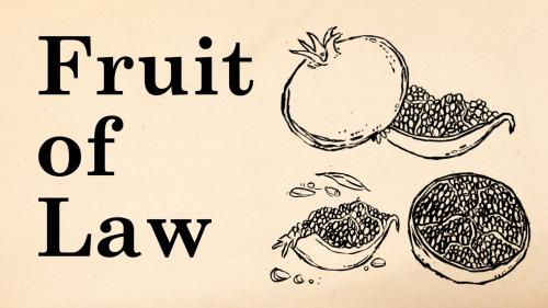 Fruit of Law