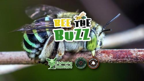 Bee The Buzz
