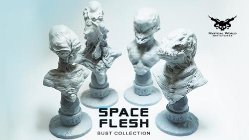 SPACE FLESH - BUST COLLECTION