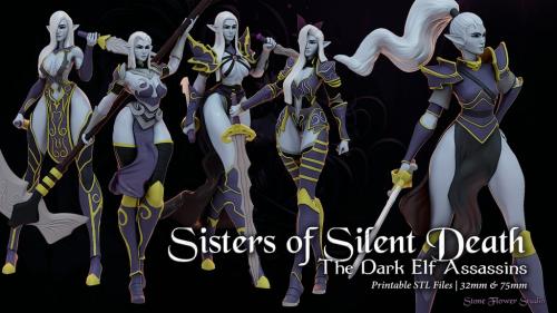 Sisters of Silent Death – The Dark Elf Assassins