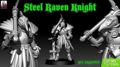 Steel Raven Knight