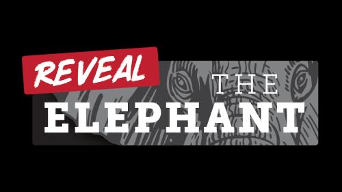 Reveal the Elephant Board Game