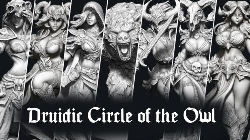 Druidic Circle of Owl - STLs for printing