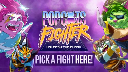 A unique turn-based strategic card fighting game!