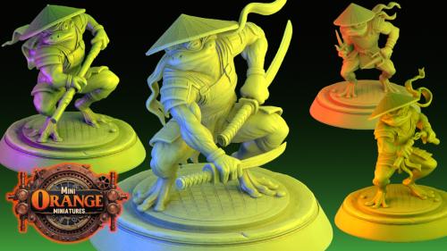 NINJA FROGS