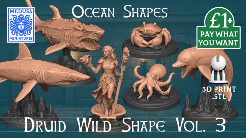 Druid Wild Shape Vol. 3 – 3D Printing STL Ocean Animal Minis