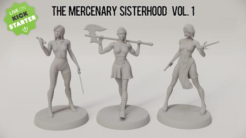 The Mercenary Sisterhood Vol. 1