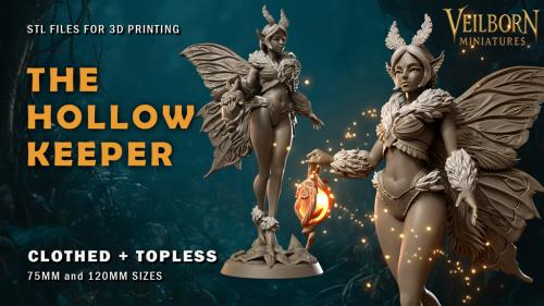 Noctua. The Hollow Keeper: Pin-Up STLs for 3D Print