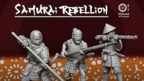 Samurai Rebellion