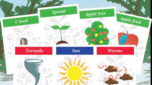 Bear Good Fruit Card Game