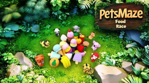 PETS MAZE