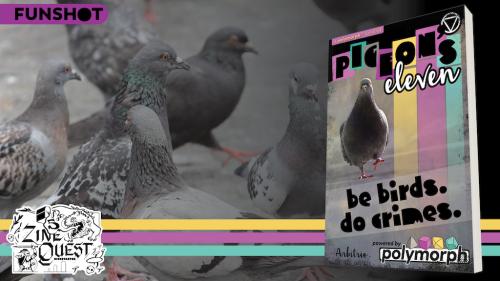 Pigeon s Eleven