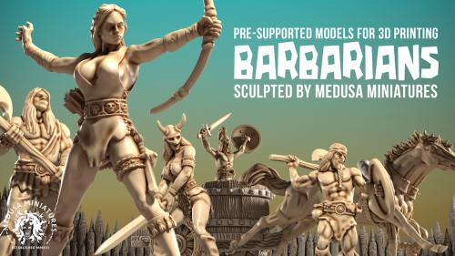 Barbarian Raiders - Pre-Supported STL s by Medusa Minis