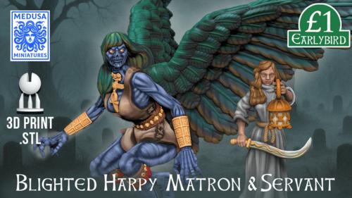 Blighted Harpy Matron & Servant - STL minis 7 Days!
