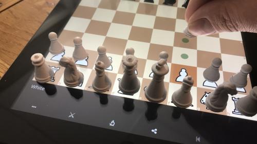 MasterPiece Chess