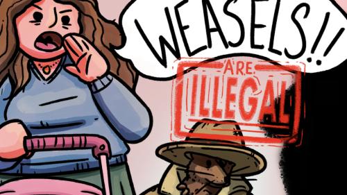 Weasels Are ILLEGAL!