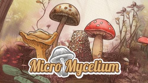 Micro Mycelium