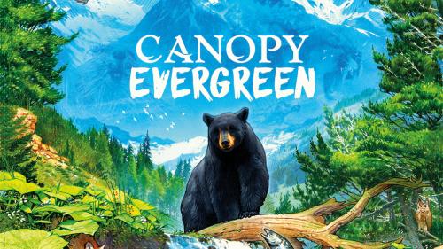 Canopy: Evergreen