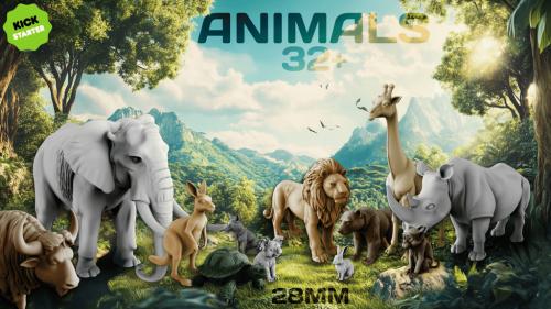 Animals