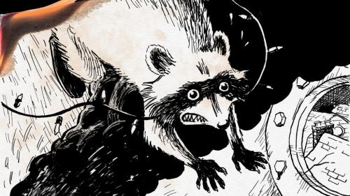 Raccoon Sky Pirates Classic