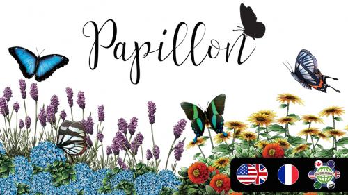 Papillon