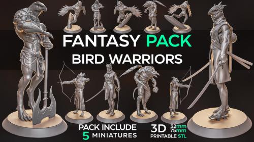Fantasy Bird Warriors Pack : Printble STL model 32mm 75mm